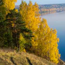 Осень